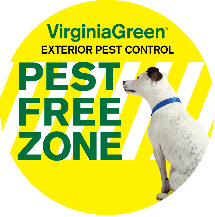 Pest Control Overview Virginia Green